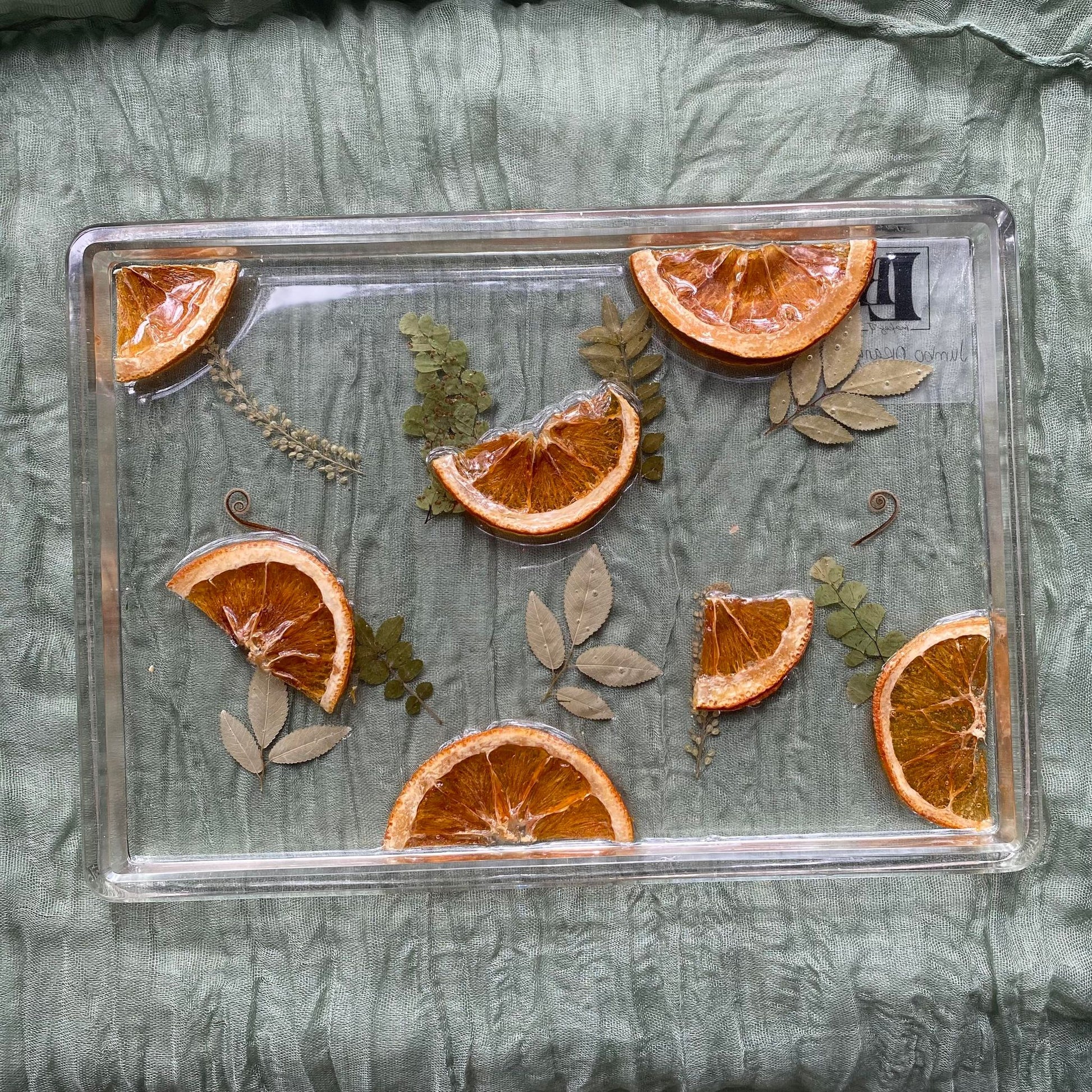 Photo shows a clear, rectangle-shaped resin tray with segments of real oranges and dried ferns and leaves in the background.