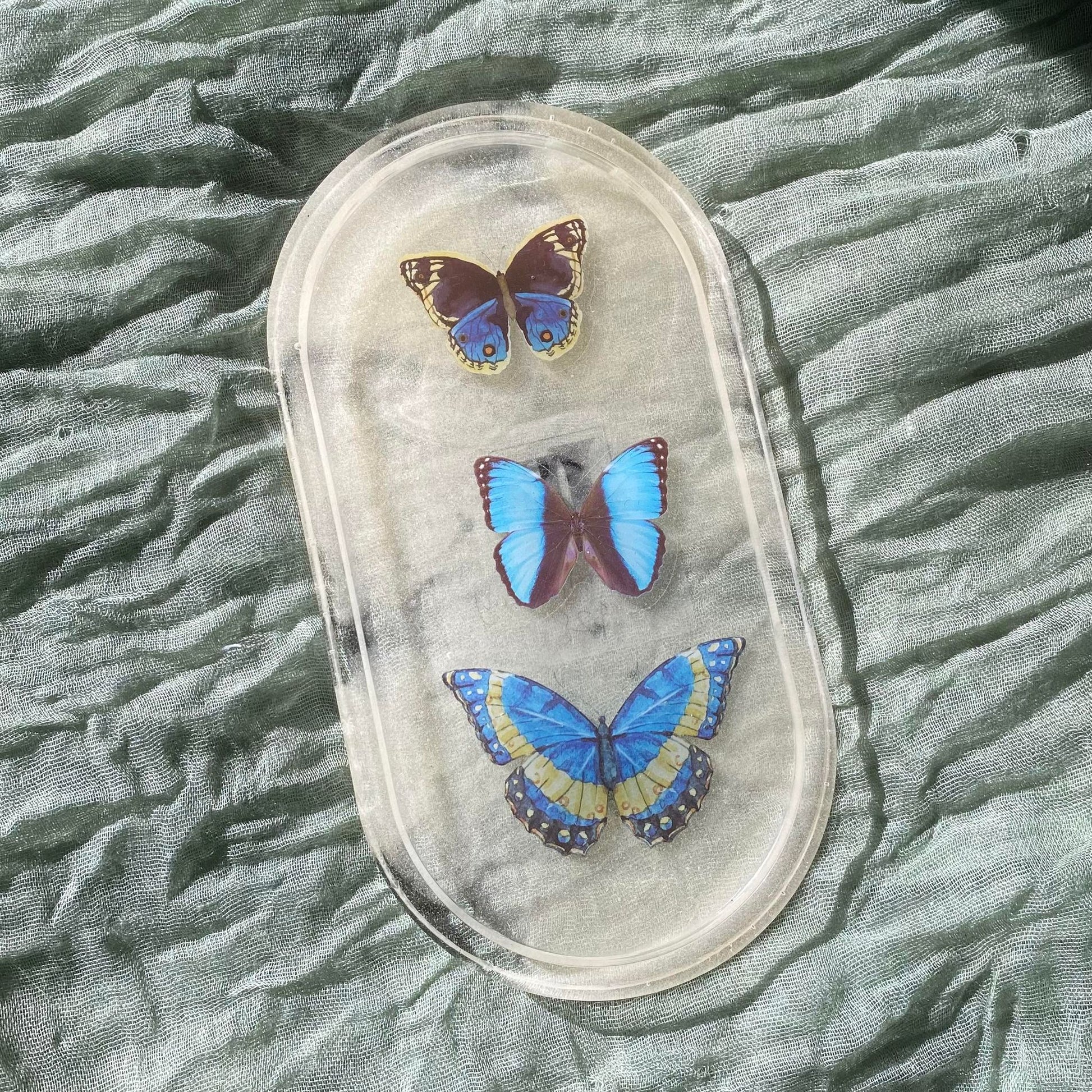 Photo shows an oval-shaped resin tray with a slightly transparent yellow background, with images of three blue butterflies inside of it.