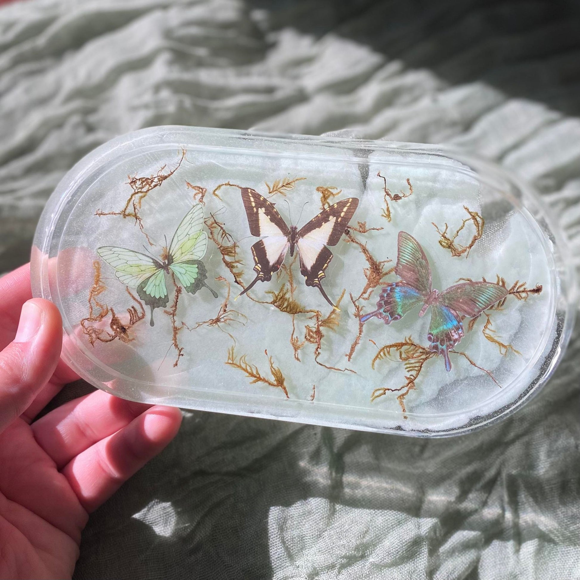 Photo shows a hand holding an oval-shaped resin tray with three different butterfly stickers inside with moss behind them. The moss and butterflies are in front of a seafoam green background. 