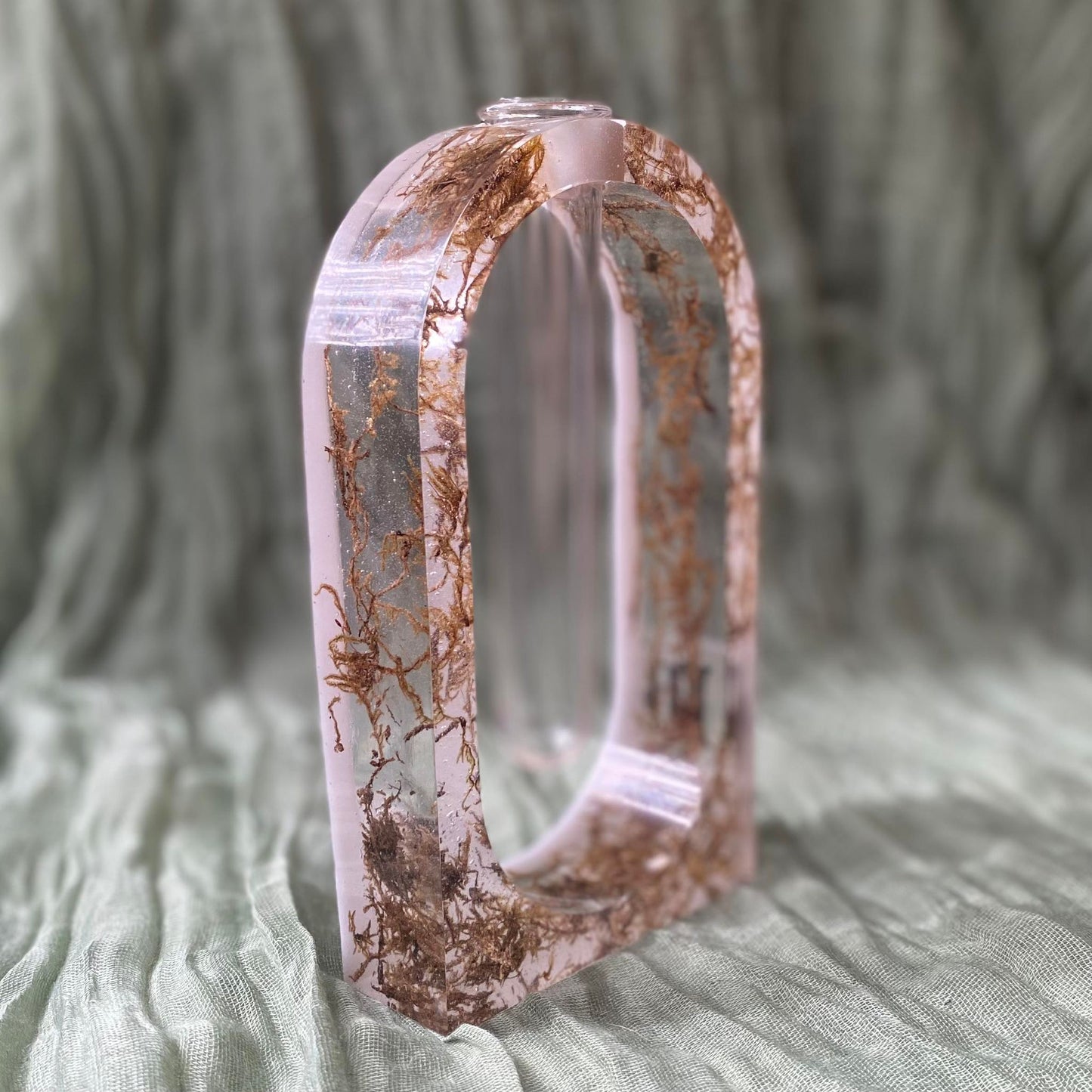 An arch-shaped propagation station is standing up, and you can clearly see it is filled with moss with a white background. There is a clear tube that starts at the top of the arch shape and goes down through the center.