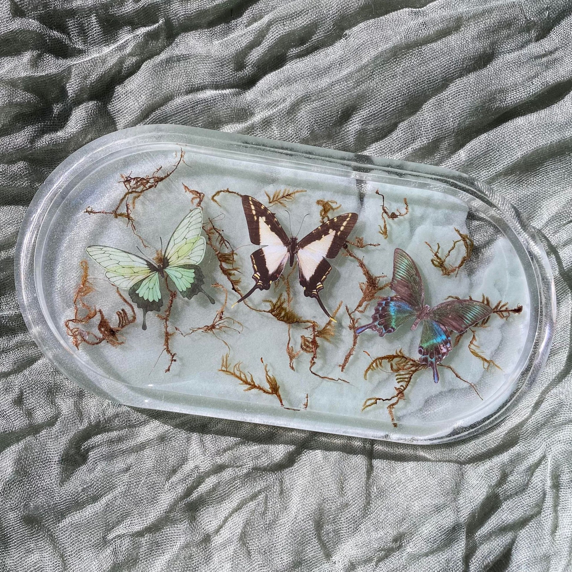 Photo shows an oval-shaped resin tray with three different butterfly stickers inside with moss behind them. The moss and butterflies are in front of a seafoam green background. 