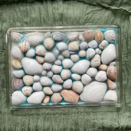 Photo shows a rectangle-shaped resin tray. The entire tray is filled with seashells and a light blue resin which makes it look like they are sitting in water.