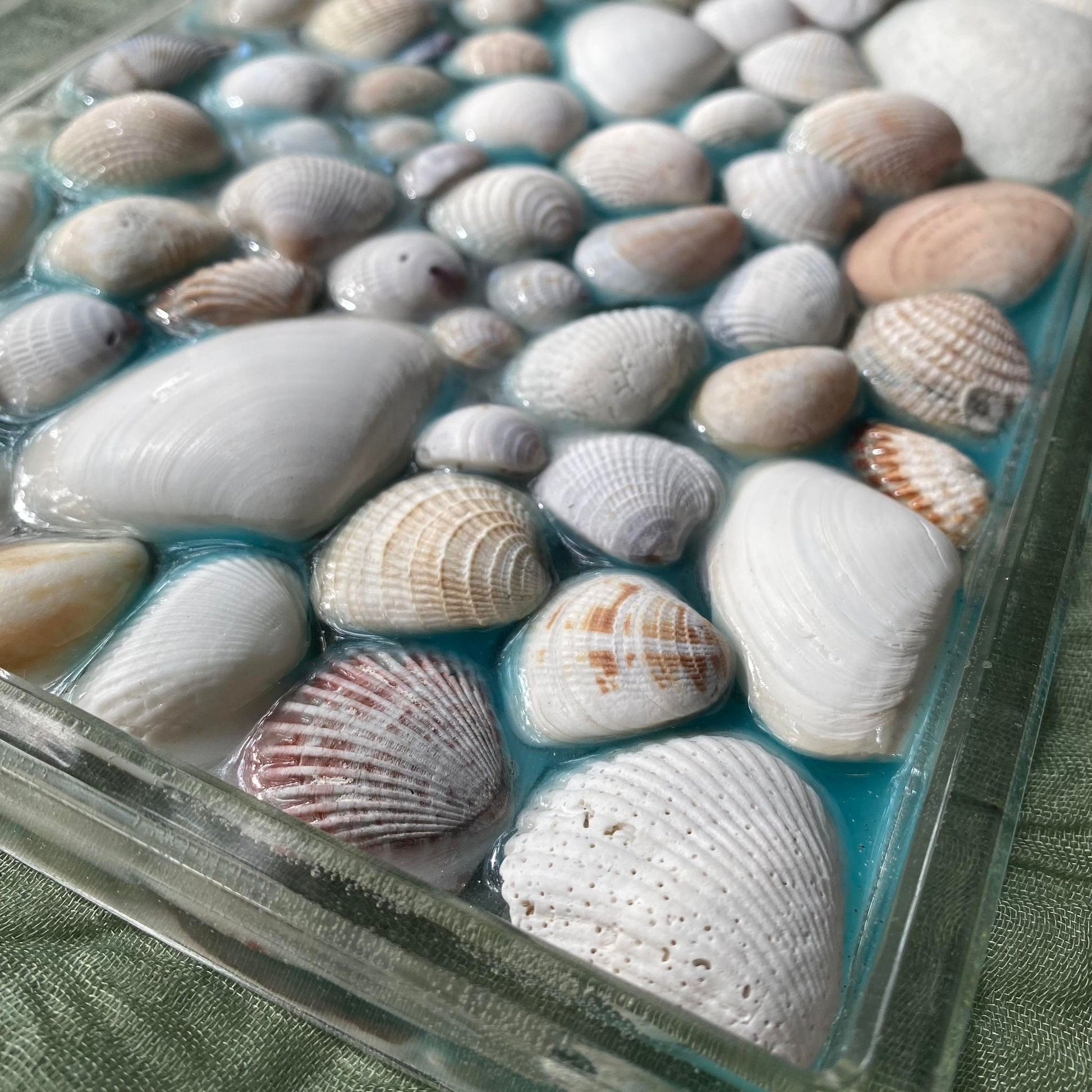 Close up of a corner of the tray so you can see the texture of the shells and the clear sides of the tray.