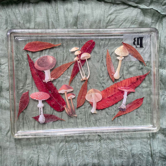 Photo shows a clear, rectangle shaped resin tray with mushroom stickers and dried leaves inside.