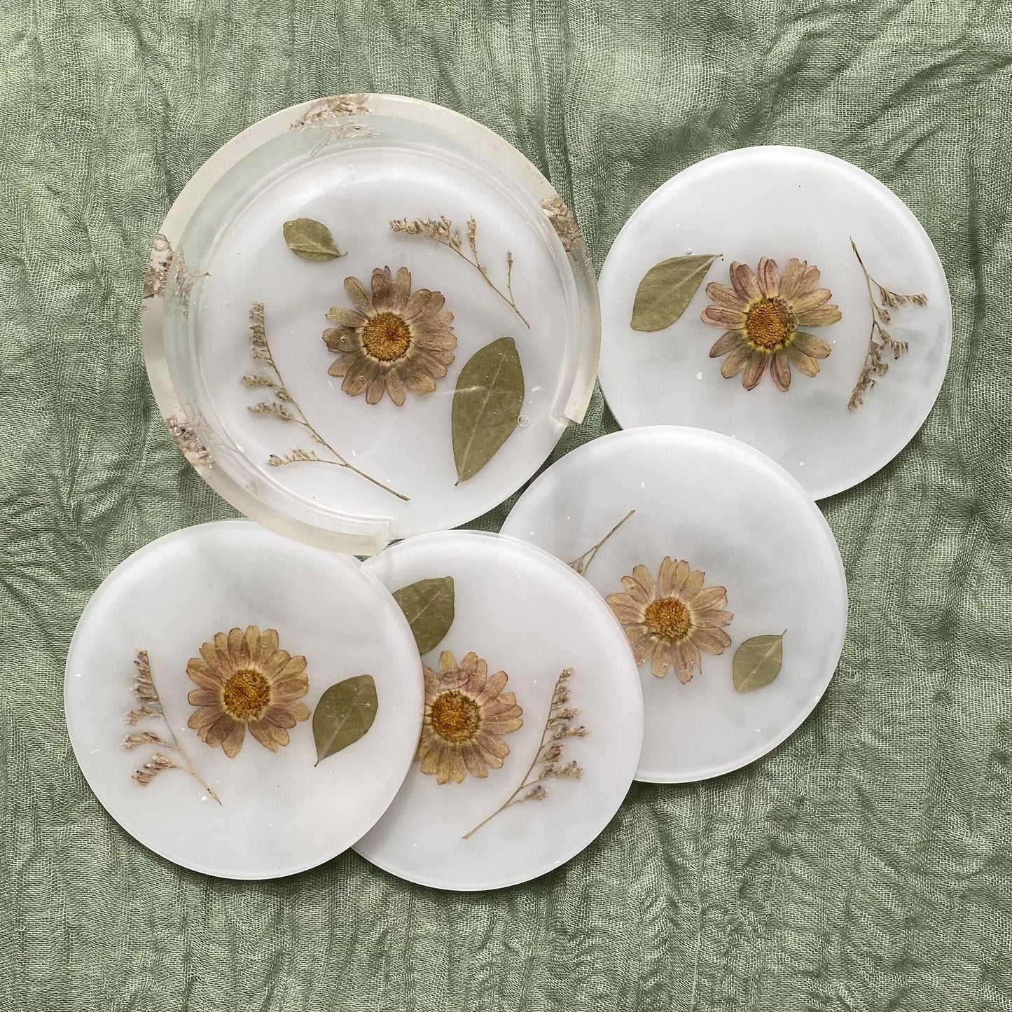 Top view of all the coasters and the matching holder. Each coaster is round with a white background, a pale purple flower in the center, and a piece of baby's breath and a leaf inside. The holder is similar but it features extra leaves and baby's breath.