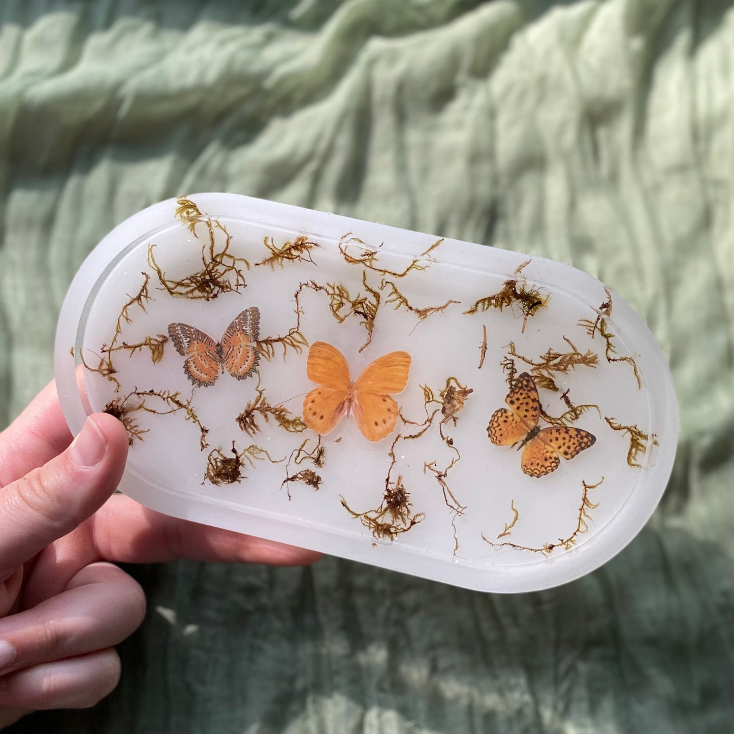 Catch All Tray | Butterflies, Moths, & Moss