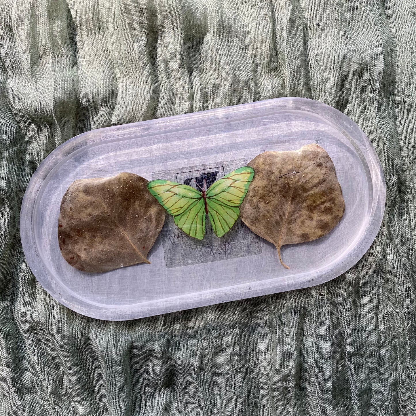 Catch All Tray | Eucalyptus & Moth