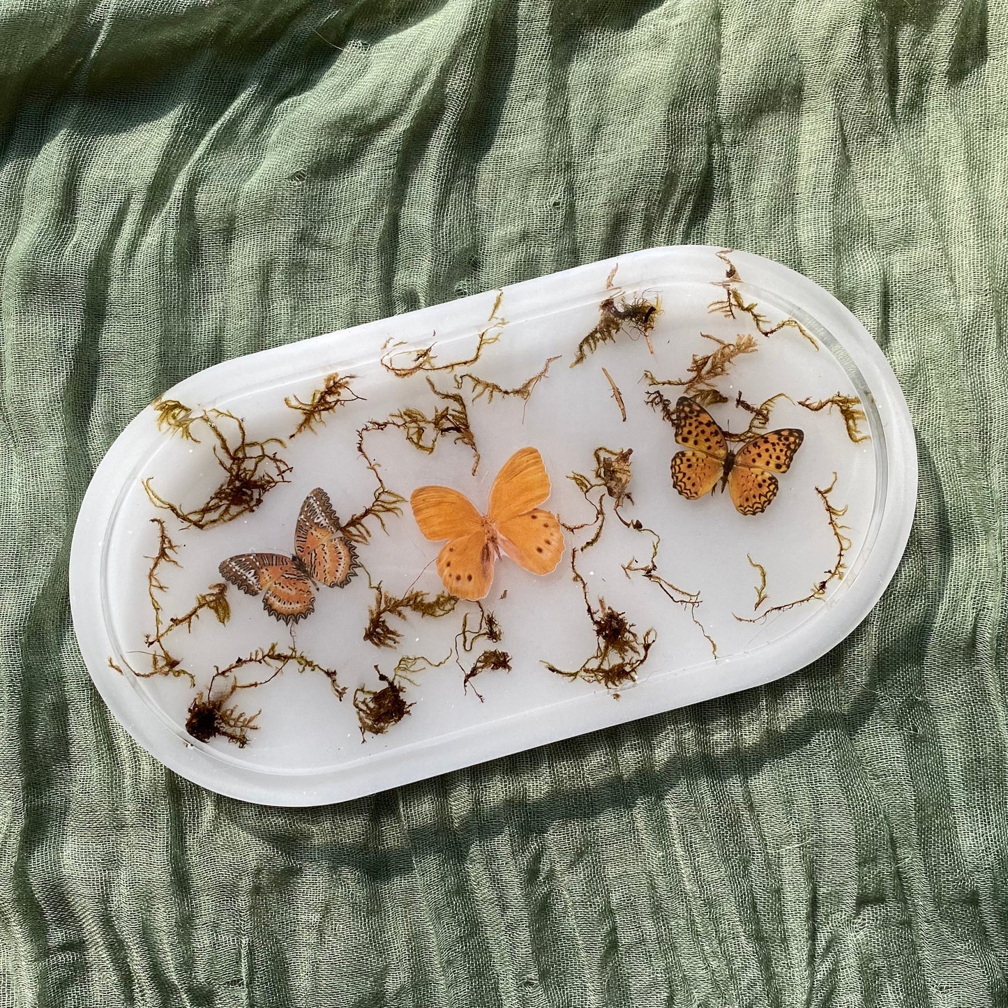 Catch All Tray | Butterflies, Moths, & Moss