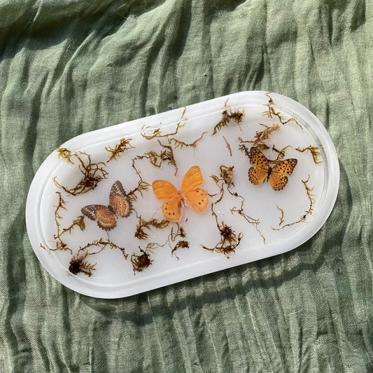 Catch All Tray | Butterflies, Moths, & Moss