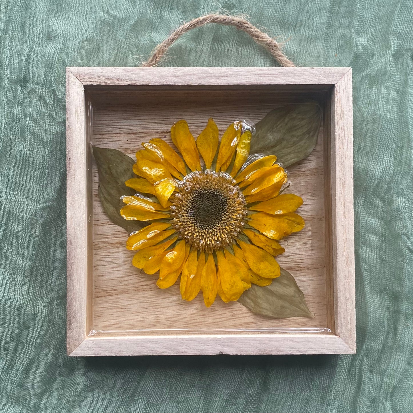 Shadow Box | Sunflower