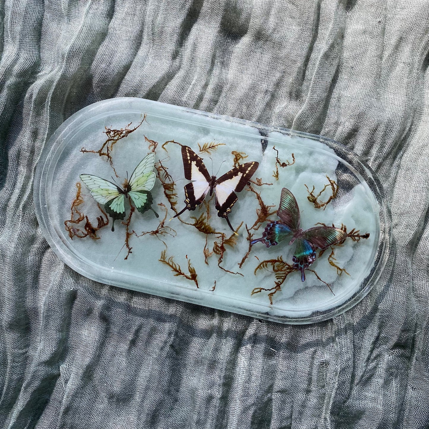 Catch All Tray | Green Moths & Moss