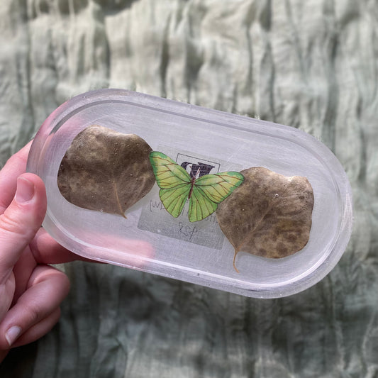 Catch All Tray | Eucalyptus & Moth